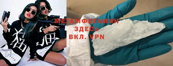 прущие грибы Богданович