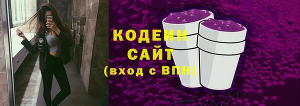mix Богородицк