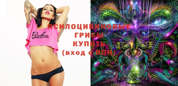 прущие грибы Богданович