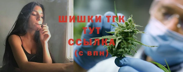 прущие грибы Богданович