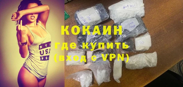прущие грибы Богданович