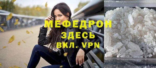 прущие грибы Богданович