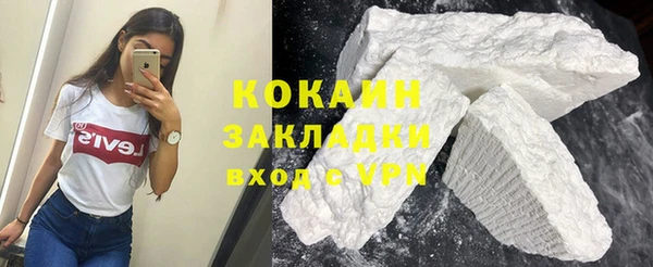 mix Богородицк