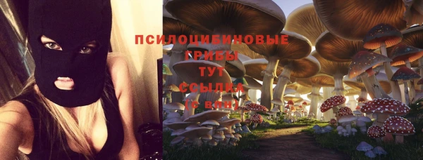 меф Богородск