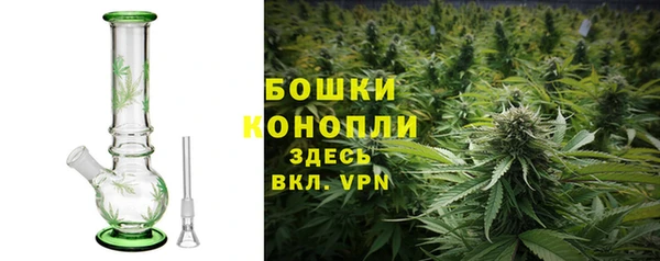 mix Богородицк