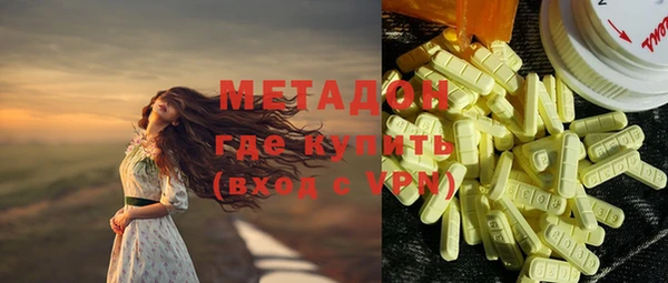 прущие грибы Богданович